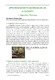 Aprovechamiento de Residuos de Alcachofa-Aspectos Teoricos.pdf.jpg