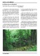 La magia de los bosques.pdf.jpg