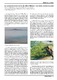 La comunidad de aves del Mar Menor y su papel bioindicador.pdf.jpg