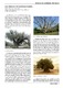 Los árboles de nuestros padres.pdf.jpg