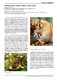International Animal Rescue Indonesia.pdf.jpg