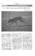 El lobo (Canis lupus) en el siglo XVI.pdf.jpg