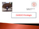 CardioFisiología.pdf.jpg