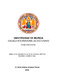 Tesis_Erick_Arturo_Alvarez_sept_2024 Final.pdf.jpg