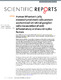 Efecto de la inyección de células mesenquimales en axotomía 2018.pdf.jpg