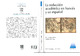 Comares-La redaccion academica en frances y en espanol.pdf.jpg