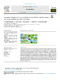 López Berenguer et al. 2023b.pdf.jpg