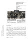 18 Reseña exposicion Siempre en mi recuerdo.pdf.jpg