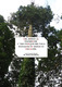 2011 Del bingo DYKINSON.pdf.jpg