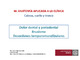Anatomía aplicada a la clínica_Dolor dental y periodontal_ Master Anatomía.pdf.jpg