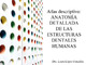 ATLAS DESCRIPTIVO_Anatomía detallada de las estructuras dentales humanas.pdf.jpg
